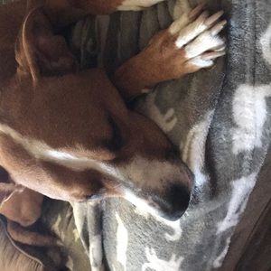 Meet your Posher, Tammy